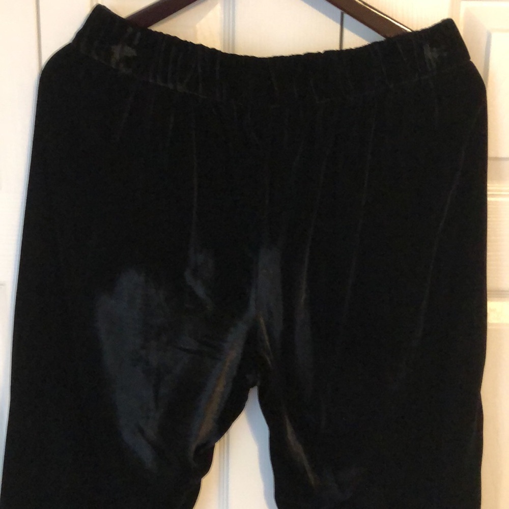 JCrew Velvet Pants - Picture 4 of 13